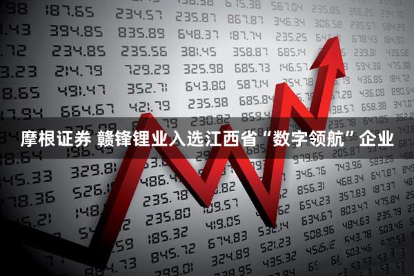 摩根证券 赣锋锂业入选江西省“数字领航”企业