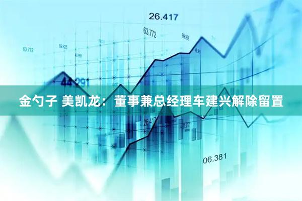 金勺子 美凯龙：董事兼总经理车建兴解除留置