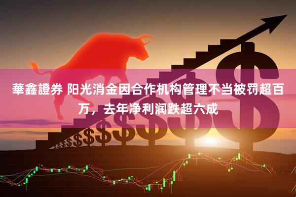 華鑫證券 阳光消金因合作机构管理不当被罚超百万，去年净利润跌超六成